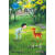 中国当代儿童小说名家自选集--小鹿波波（相约旷野
