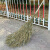 兰诗 YH604 环卫大扫把马路清扫竹扫把笤帚街道公园扫落叶除雪扫帚 木柄带叶5斤
