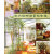 室内植物与景观制造 建筑 吴方林，何小唐 中国林业出版社 9787503829079 书籍