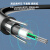 沧仁 光纤GYXTW室外光缆6.0mm线径外径 12芯100米 单模架空地埋铠装光缆光纤线 CR-R137
