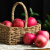 集鲜锋 陕西洛川苹果红富士 新鲜水果 80-85mm果径5斤装（净重4.5-5）
