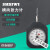 定制上海指针式张力计 表式测力计 单针双针020N 开关触点压力计 SEN1.51(单针)