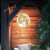 泽速韵太阳能月亮灯室外吊灯球形户外防水别墅花园庭院挂树灯景观月球灯 接电款20CM直径
