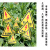 沪凛威 电力安全标识 pvc 三角形电力安全标志 红闪有电危险30*30cm*50张