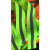 衣服反光条带夜跑布条贴带警示标识服夜光学生荧光反光布反光织带 荧光绿(100米)