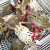 三座海 鲜活梭子蟹 螃蟹 飞蟹 海蟹 红膏母蟹 满黄蟹 莱州三山岛