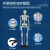 170CM人体骨骼模型教学瑜伽骨架带神经脊柱可弯曲关节韧带 170cm骨骼（无神经）