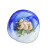 帕莎帕琦Pasabahce进口钢化玻璃盘炒菜盘子欧式透明耐热微波餐具8英寸2只装10651-2蓝色