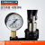 MNZe 手动试压泵 水管打压泵管道地暖检漏仪PPR管打压机 SB-6.3Mpa(63公斤)