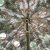 金树叶 野营迷彩遮阳伞 2.4m圆形岗亭遮阳遮雨带金属底座 丛林色A