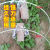 种菜棚架新型农用小拱棚支架遮阳防虫网拱杆菜地骨架暖棚育苗 6毫米1.8米长20根(送手套)