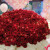 薇尼999玫瑰花束鲜花速递同城送求婚表白北京上海广州佛山深圳全国送 520朵红玫瑰热恋款