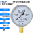 上海仪川仪表 耐震防震抗震压力表YN100 充油表 气压油压水压真空 YN100 0-0.25MPa