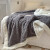 雅鹿 毛毯加厚冬珊瑚法兰绒盖毯双层羊羔绒空调毯子办公午睡沙发毯 雾灰ALG 150*200cm单人毛毯