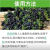 农用硫酸铵吊兰花卉农用速效氮肥酸性肥料蓝莓桂花喜酸性植物肥料 10斤分装
