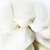 捷诺立（ JNL） N11010劳保手套棉线加厚加密耐磨白线手套10副装