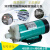MP-10RN/15RM/20R/30R/55R耐腐蚀电渡水泵器泵微型磁力泵 MP-55RM