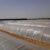 威厉固得 农用透明小拱棚 塑料膜塑料布地膜保温薄膜蔬菜大棚内棚育苗膜 宽2.5米*长约230米*厚1.4丝 10kg/卷