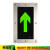 安全出口指示灯地面疏散指示灯嵌入式应急消防地埋灯安全出口圆形方形诱导地标灯 30cm双向(24/220V)