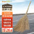 Supercloud大扫把竹环卫马路物业柏油道路地面清扫清洁大号笤帚扫帚 竹枝连体3.8斤款 1把