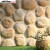 石设汇（shishehui）文化石外墙砖室内电视背景墙立体现代庭院别墅仿山岩石外墙砖 鹅卵石（1/平方价）