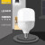 FSL 佛山照明 大功率LED灯泡节能球泡大瓦数E27螺口42W 6500K白光柱形泡