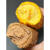 隽颜堂港祥食品虎崽崽虎皮卷芝士奶油海苔肉松巧克力夹心面包小糕点 三种口味混合500g发1斤 500g