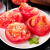 京地达山东普罗旺斯西红柿4.5斤彩箱装自然熟沙瓢口感番茄 源头直发