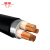 津成电缆 ZRC-YJV22-0.6/1KV-3*25+1*16mm² 铜芯钢带铠装阻燃电力电缆 1米