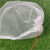 海斯迪克 尼龙网袋 防虫网眼袋 纱网袋（100个）75*55cm H-63