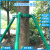 钢管树木支撑架固定器园林绿化养护防风大树支撑杆苗木镀锌行道树 2米长绿色40管1.5厚4根+抱箍