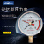 上海联力YJN-100双针耐震 记忆型压力表 峰值压力记录充油抗震表 0.6MPa