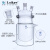 垒固 双层玻璃反应釜 快拆式开口反应器化学实验室 150mm/40*24*3 四口开口反应器盖 