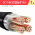 鑫永信 国标铜芯铠装ZC-YJV22电力电缆 足方足米 4*2.5平方（1米）