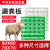 羊用漏粪板塑料羊床板养羊专用地板保育床接粪漏缝板养殖场设备 60x60-4.2斤羊用全双筋白色