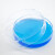 海斯迪克 HKC-207 加厚玻璃培养皿 高硼硅细胞培养皿平皿 60mm(10个) 