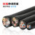 珠江电缆国标RVV2 3 4 5芯0.75 1 1.5 2.5 4 6平方电源护套线 一米 RVV 2芯 0.5平方毫米