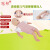 冠邦高级婴儿儿童心肺复苏模拟人婴儿梗塞气道梗塞急救及CPR训练模型 儿童（数码控制+打印）