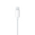 Apple 苹果原装耳机线控耳机iPhone14promax 13/12/11/X系列 ipad苹果有线手机扁头通用 玩游戏听歌