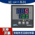 NE-6411V-2D(N)上海亚泰仪表温控器NE-6000现货NE-6411-2D NE-6411-2D(N) 600度