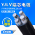 yjlv4x35铝芯电缆线户外4芯*16平方电线电缆三相地埋铠装铝芯电缆  京炼 YJLV-4*50平方(架空)1米 10米起拍