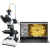 蔚蓝（VEINLAN）1200W像素金相显微镜高倍三目光学实验室显微镜SN2003-US1200（接PC端）上下光
