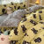 韩国品质单被套小新三件套可爱床上用品学生宿舍奶牛四件套卡通风 紫雅-x 1.5四件套(被套150x200