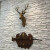 鹿头壁挂 北欧客厅家居装饰品创意鹿头壁挂轻奢电视墙沙发背景墙面挂件 美式（特大号）