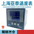 上海亚泰NE-6411V-2仪表温控器NE6000-2温控仪NE-5411数显温度表 NE-6412(N) PT100 400度