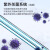 上海一恒 电热恒温培养箱细胞微生物腹透液催芽发酵实验室 DHP-9012B普及型 