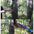 适用于瑞典Haglof树木生长锥植物树木生长锥    树木年龄研究 250mm长