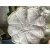高 洁 擦机布白色碎布工业抹布刀口布无尘吸水吸油不掉毛 50斤广西包物流