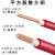 珠江电缆电线BVV10 16平方入户主线双塑硬线国标铜芯户外电线定制 BVV10平方红色 1米价
