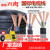 RVV电缆线电线国标软线2芯3芯1/2.5/4/6/10平方电缆线户 国标3芯16方1米价